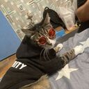 ���������� ������, ���� ������� ������, 33 ����, ������������ ��� ������, ����� � ���������, c�������� ���������