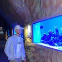 ���������� ������, ���� ������� �����, 27 ���, ������������ ��� ������, ����� � ���������