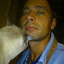  ,   , 46 ,   