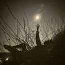 ���������� ����������, ���� ������� MrWhite, 29 ���, ������������ ��� ������, ����� � ���������, c�������� ���������, ���������