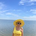 ���������� �����������, ���� ������� �������, 63 ����, ������������ ��� ����� � ���������, c�������� ���������