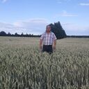  ,   , 51 ,   ,   