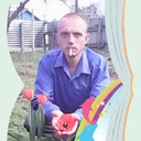 ���������� ���������, ���� ������� ���������, 37 ���, ������������ ��� ������, ����� � ���������, c�������� ���������