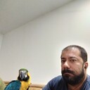  ,   Ned, 49 ,     , c 