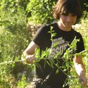 ���������� ����, ���� ������� Anton, 40 ���, ������������ ��� ������, ����� � ���������, c�������� ���������