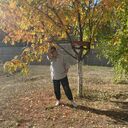 ���������� ���������, ���� ������� �������, 49 ���, ������������ ��� ������, ����� � ���������