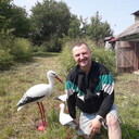 ���������� �����-���������, ���� ������� �����, 44 ����, ������������ ��� ������, ����� � ���������, c�������� ���������, ���������