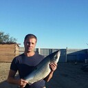 ���������� ����������, ���� ������� ������, 39 ���, ������������ ��� c�������� ���������