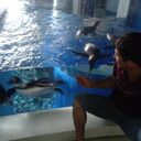 ���������� �����������, ���� ������� �������, 33 ����, ������������ ��� ������, ����� � ���������