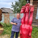  ,   , 48 ,   c 