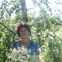  -,   , 65 ,   ,   
