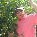 ���������� ������, ���� ������� ����, 46 ���, ������������ ��� ������, ����� � ���������, c�������� ���������