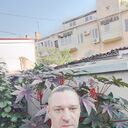  ,    , 43 ,   ,   