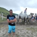 ���������� ������, ���� ������� ������, 41 ���, ������������ ��� ������, ����� � ���������, c�������� ���������