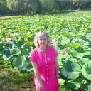 ���������� ������� ������, ���� ������� �������, 38 ���, ������������ ��� ������, ����� � ���������