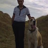  ,   Davitmec, 33 ,   