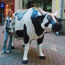 ���������� �����, ���� ������� ����, 49 ���, ������������ ��� ������, ����� � ���������, c�������� ���������