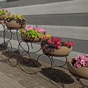 ���������� �����, ���� ������� ����, 45 ���, ������������ ��� ������, ����� � ���������