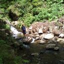 ���������� �����, ���� ������� ������, 49 ���, ������������ ��� ������, ����� � ���������