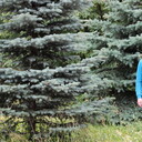 ���������� ��������, ���� ������� ���������, 34 ����, ������������ ��� ����� � ���������, c�������� ���������