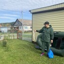 ���������� ������������, ���� ������� ����, 38 ���, ������������ ��� ������, ����� � ���������