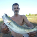 ���������� ���������, ���� ������� ���������, 62 ����, ������������ ��� ������, ����� � ���������, c�������� ���������