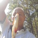  ,   , 61 ,   ,   , 