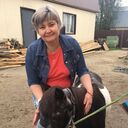 ���������� �������������, ���� ������� ����, 53 ����, ������������ ��� ������, ����� � ���������, c�������� ���������