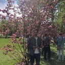 ���������� ������, ���� ������� �����, 31 ���, ������������ ��� ����� � ���������, c�������� ���������