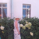 ���������� ������, ���� ������� ��������, 49 ���, ������������ ��� ������, ����� � ���������, c�������� ���������