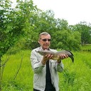  ,   , 65 ,     , c 