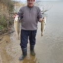  ,   , 59 ,  