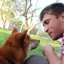 ���������� �������, ���� ������� �����, 38 ���, ������������ ��� ������, ����� � ���������, c�������� ���������