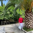 ���������� ���������, ���� ������� �������, 73 ����, ������������ ��� ����� � ���������, c�������� ���������