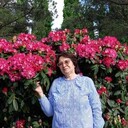  ,   , 61 ,   