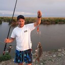 ���������� ������, ���� ������� ��������, 38 ���, ������������ ��� ����� � ���������, c�������� ���������