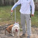  ,   , 47 ,   ,   , c , 