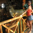 ���������� �������, ���� ������� �������, 38 ���, ������������ ��� ������, ����� � ���������, c�������� ���������