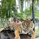 ���������� ������, ���� ������� Andrei, 39 ���, ������������ ��� ������, ����� � ���������