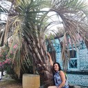 ���������� ������ ��������, ���� ������� �����, 52 ����, ������������ ��� ������, ����� � ���������, c�������� ���������