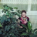 ���������� ���������, ���� ������� ������, 74 ����, ������������ ��� ���������