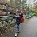 ���������� ����������, ���� ������� ���, 43 ����, ������������ ��� ������, ����� � ���������, ���������