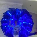  ,   , 54 ,   c , 