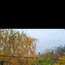  ,   Svetlana, 46 ,   
