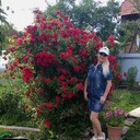  ,   , 54 ,   c 