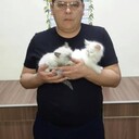 ���������� ������, ���� ������� �����, 43 ����, ������������ ��� ������, ����� � ���������, c�������� ���������, ���������