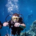 ���������� ������-��-����, ���� ������� �����, 37 ���, ������������ ��� ������