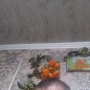  ,   , 41 ,   c 