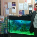 ���������� ������, ���� ������� ���������, 43 ����, ������������ ��� ������, ����� � ���������, c�������� ���������