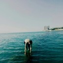 ���������� ������, ���� ������� Mayis, 40 ���, ������������ ��� ����� � ���������, c�������� ���������